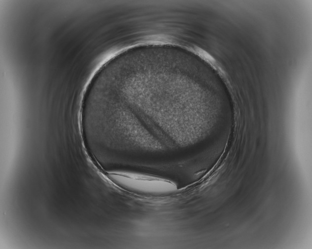 X0000086271334200704262008