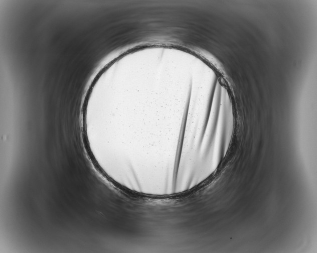 X0000086271335200704262008