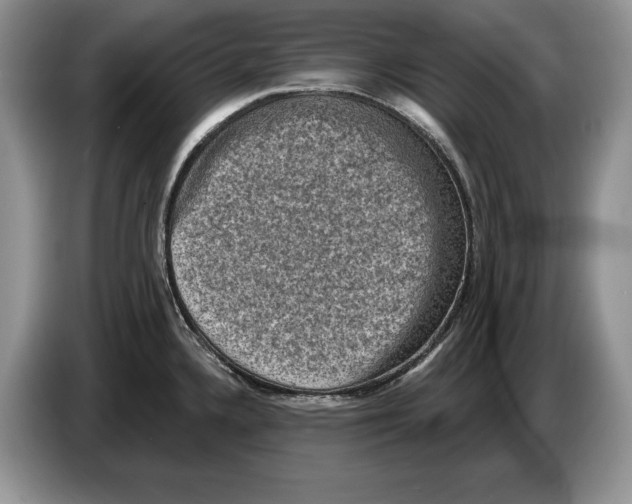 X0000086271336200704262008