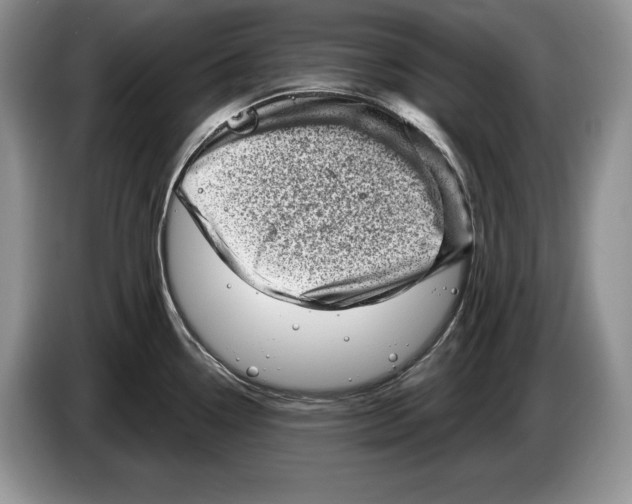 X0000086271338200704262008