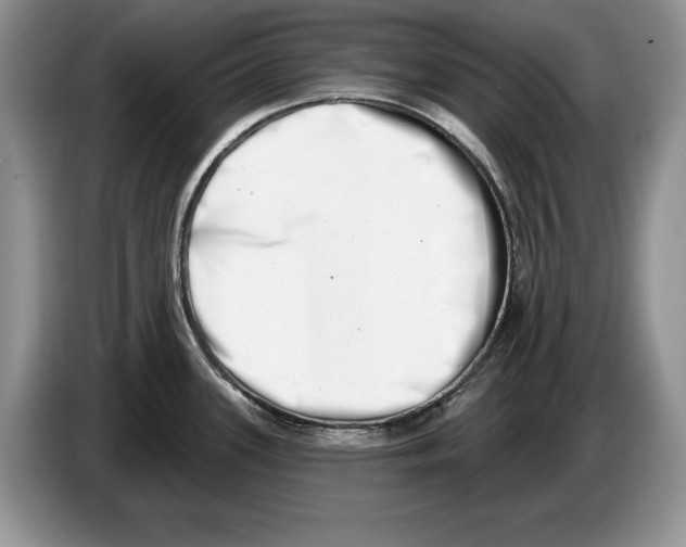 X0000086271339200704262008