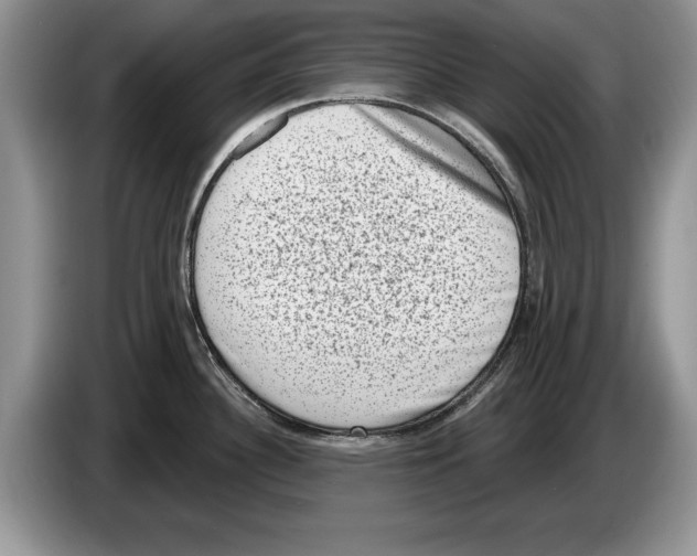 X0000086271340200704262008