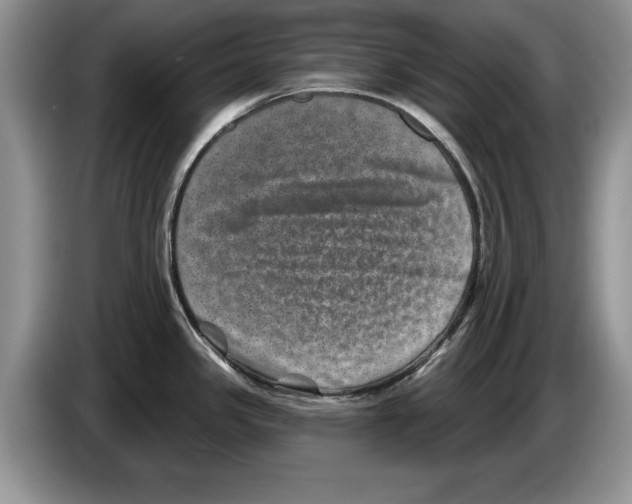 X0000086271341200704262008