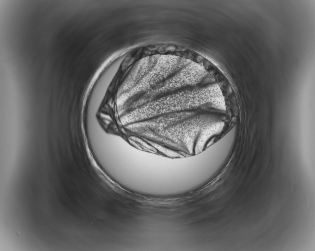 X0000086271342200704262008