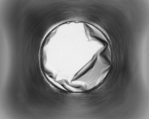 X0000086271343200704262008