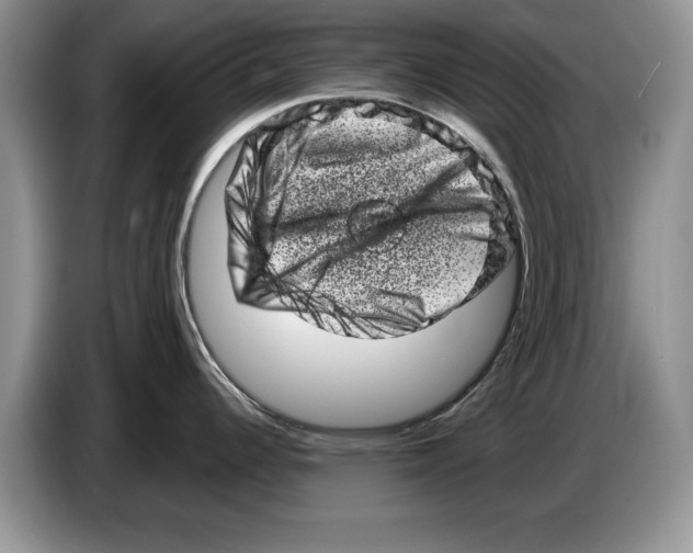 X0000086271344200704262008