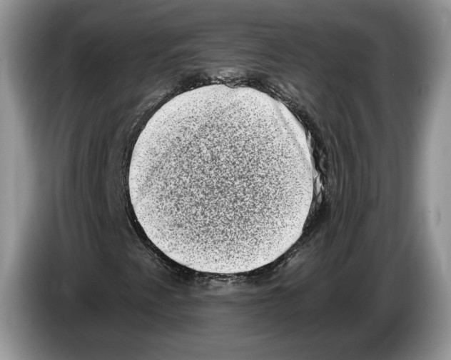 X0000086271345200704262008