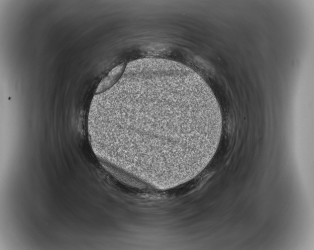 X0000086271346200704262008