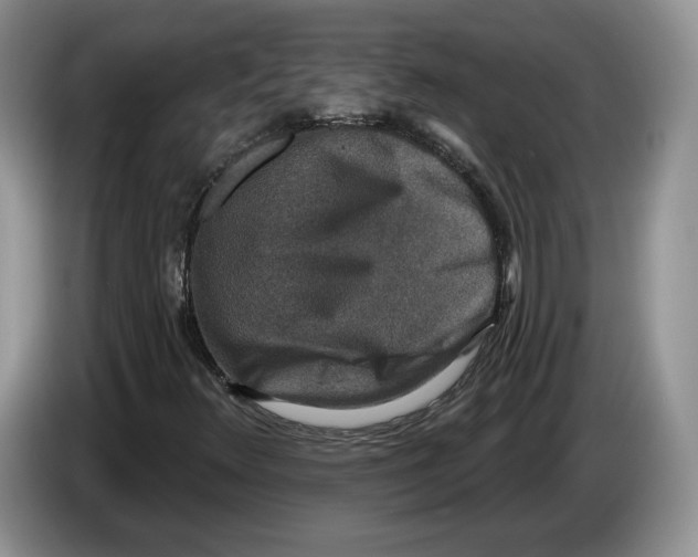 X0000086271348200704262008