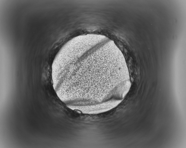 X0000086271349200704262008