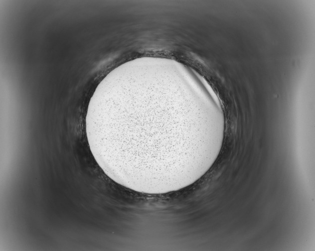 X0000086271350200704262008
