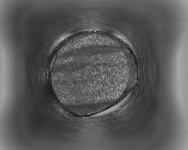 X0000086271352200704262008