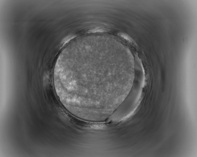 X0000086271353200704262008