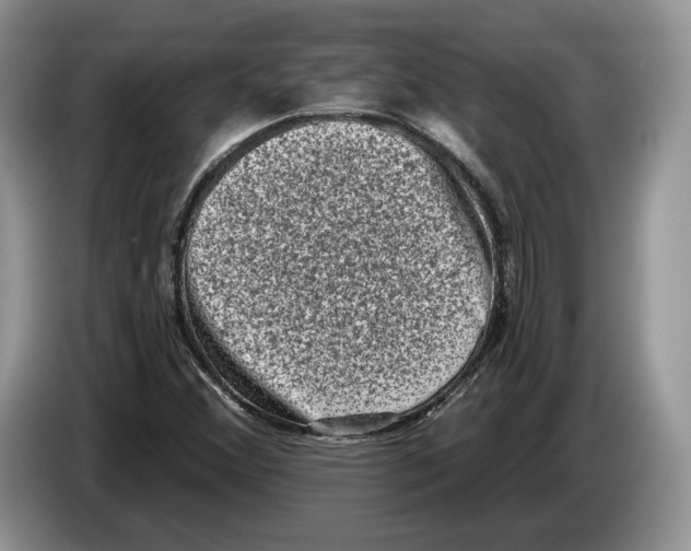 X0000086271356200704262008