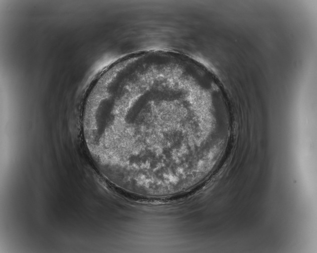 X0000086271359200704262008