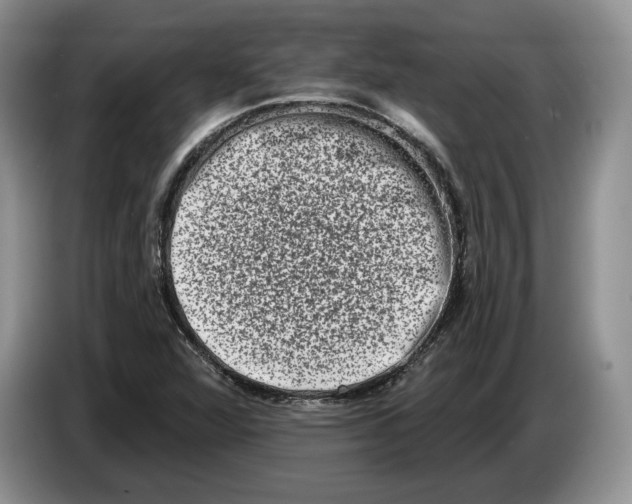 X0000086271360200704262008