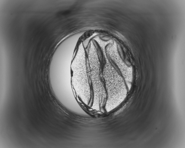 X0000086271361200704262008