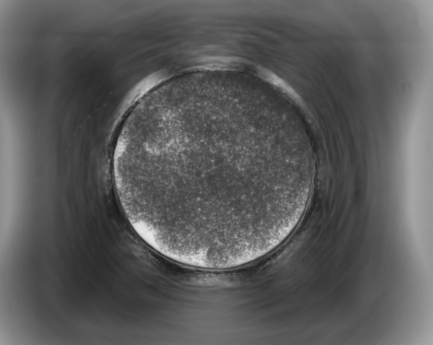 X0000086271362200704262008