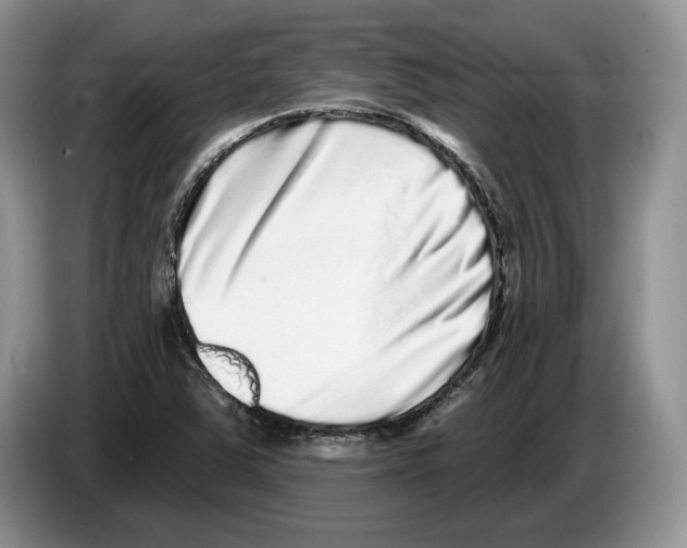 X0000086271363200704262008