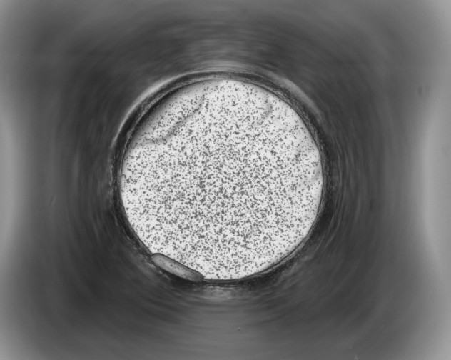 X0000086271364200704262008