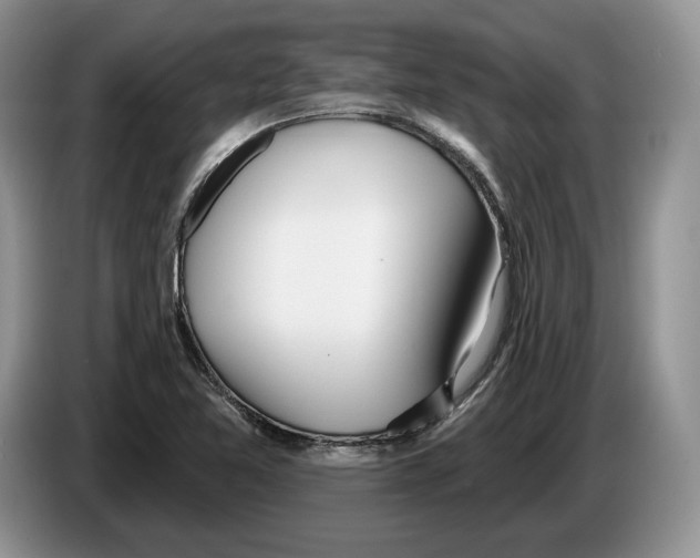X0000086271365200704262008