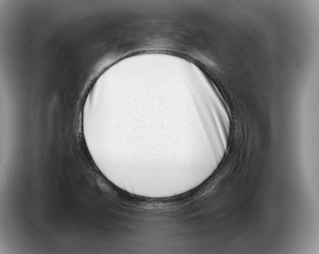 X0000086271366200704262008