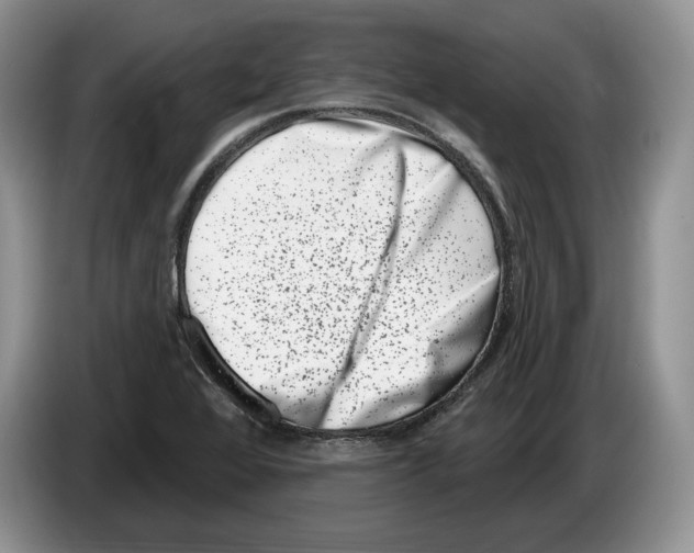 X0000086271368200704262008