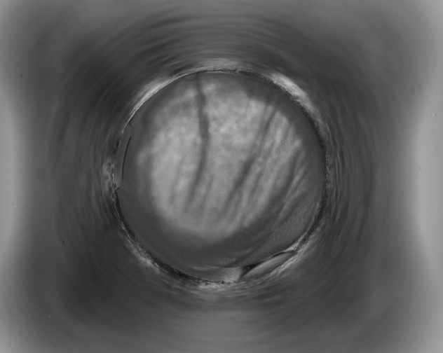 X0000086271369200704262008