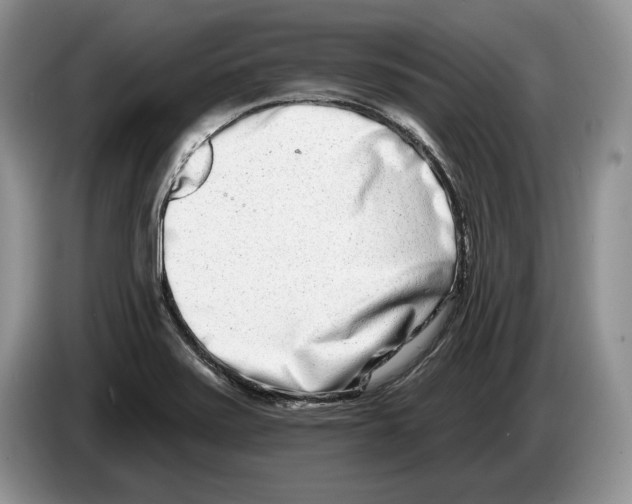 X0000086271371200704262008