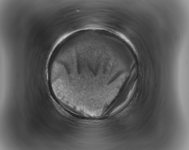 X0000086271372200704262008