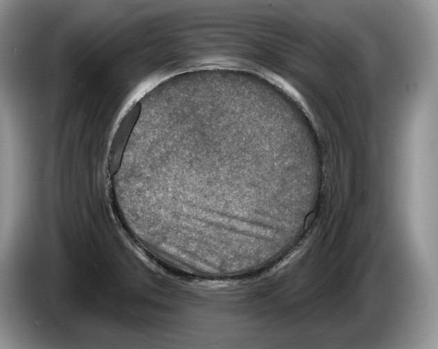 X0000086271373200704262007