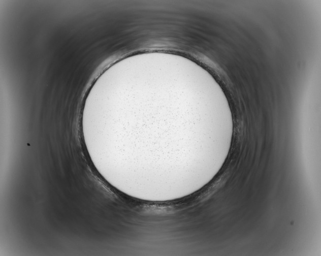 X0000086271374200704262007