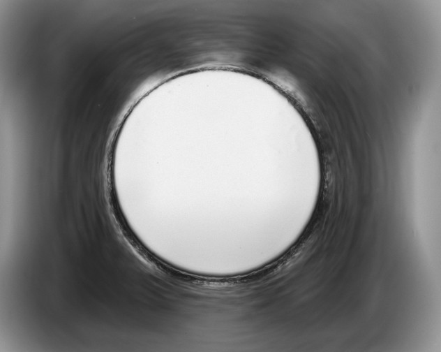 X0000086271375200704262007