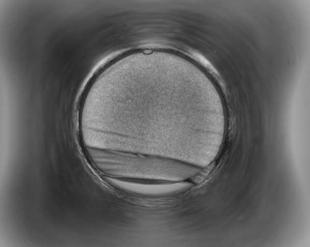 X0000086271376200704262007