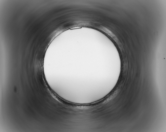 X0000086271377200704262007