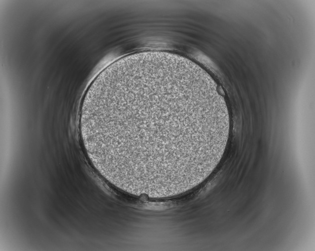 X0000086271378200704262007