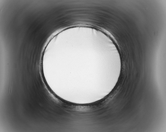 X0000086271379200704262007