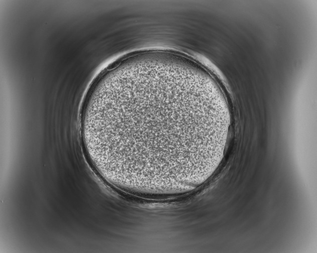 X0000086271380200704262007