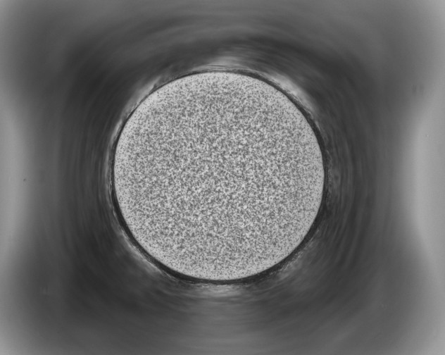 X0000086271382200704262007
