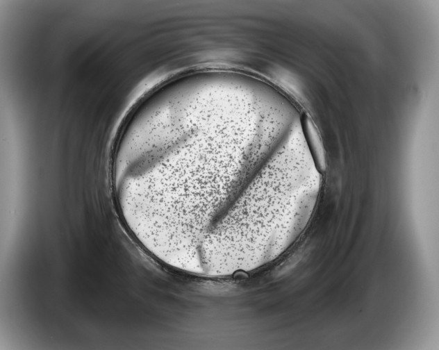 X0000086271384200704262007