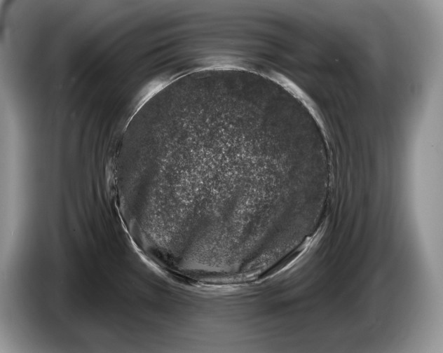 X0000086271385200704262007