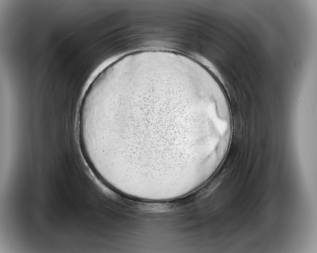 X0000086271387200704262007