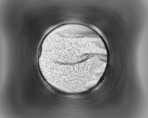 X0000086271388200704262007