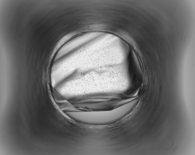X0000086271389200704262007