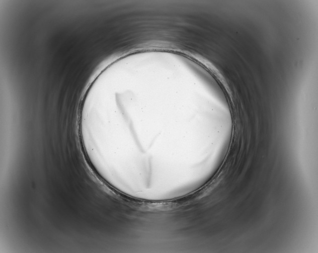 X0000086271390200704262007