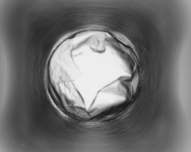 X0000086271391200704262007