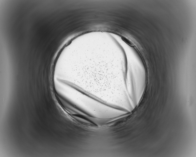 X0000086271392200704262007