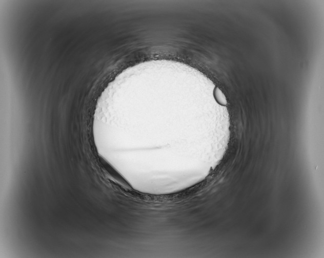 X0000086271393200704262007