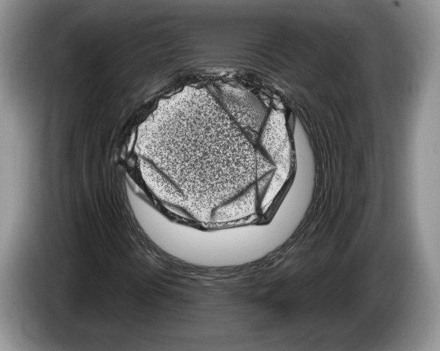 X0000086271394200704262007