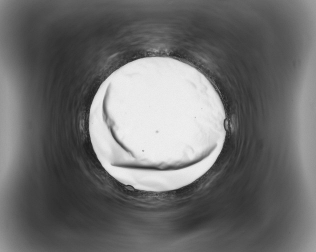 X0000086271396200704262007